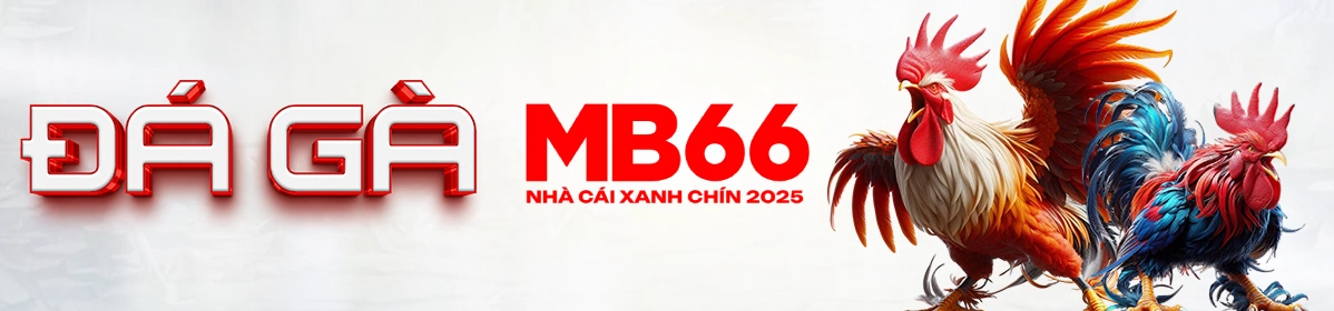 Đá Gà MB66 Trải Nghiệm Cá Cược Đá Gà Trực Tuyến Mới Nhất