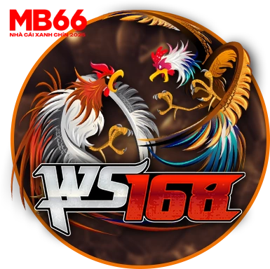 Đá gà WS168 Đối tác MB66